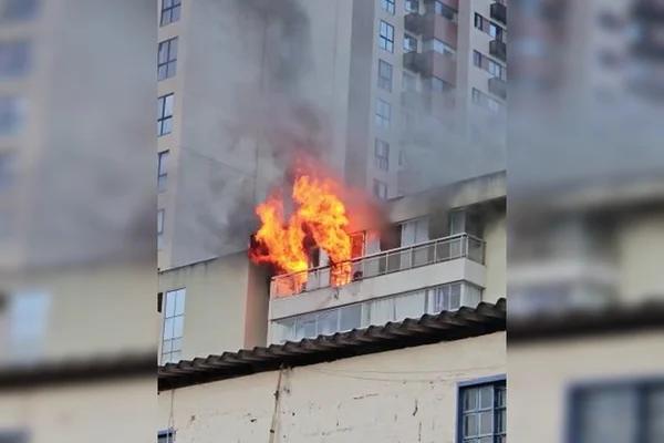 Vídeo flagra gato tentando fugir de apartamento em chamas no Guará
