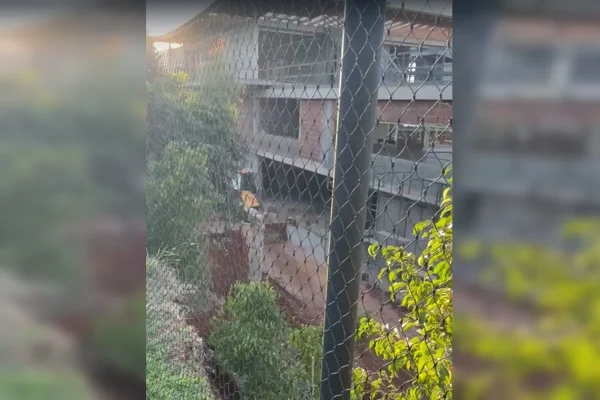 Obra “faraônica” invadiu 800 metros quadrados de área pública no Lago Sul