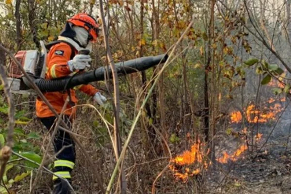 Bombeiros combatendo fogo em MT