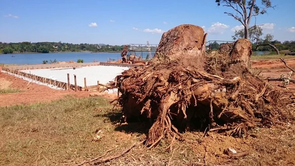 Ibram embarga obra no Deck Sul por danos ambientais