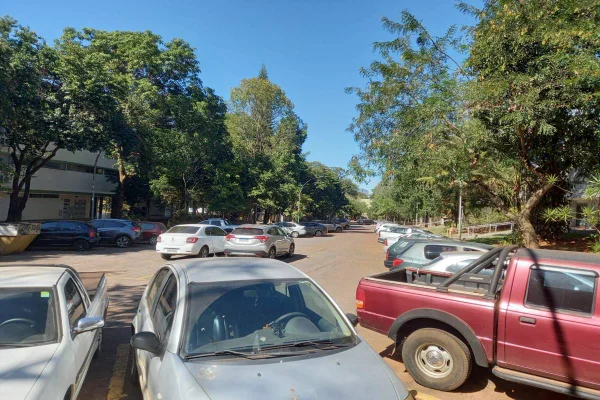 Câmara Municipal aprova projeto que cria “vagas verdes” em ruas da cidade