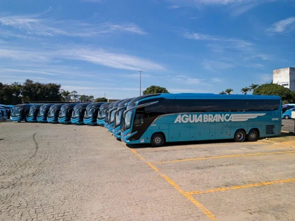 Imagem colorida de ônibus da empresa Águia Branca - Metrópoles