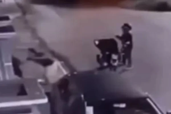 Imagem colorid, Homem tenta roubar pizza de cliente e é agredido durante entrega em MT - Metrópoles