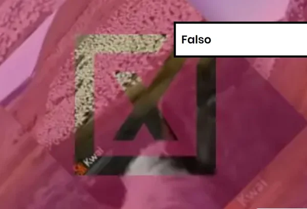 Imagem colorida de postagem enganoisa sobre filhos de Lula