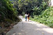 Morro do José Menino, Santos