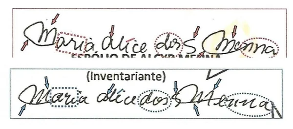 Laudo vê fraude em assinatura de venda de mansão em ilha a amigo de Flávio Bolsonaro