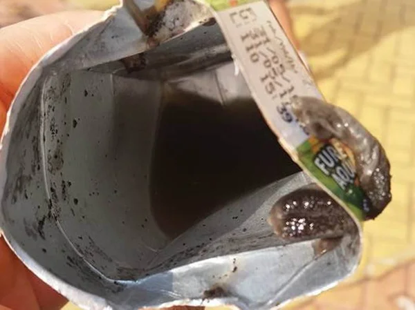 Criança encontra suposta pele de rato ao beber suco em Águas Claras