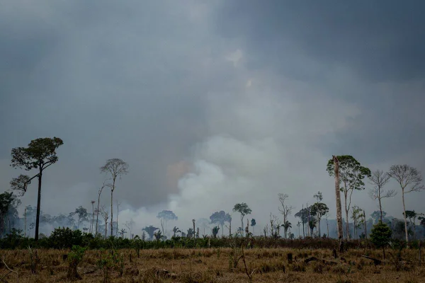 Imagem colorida da Amazônia em chamas