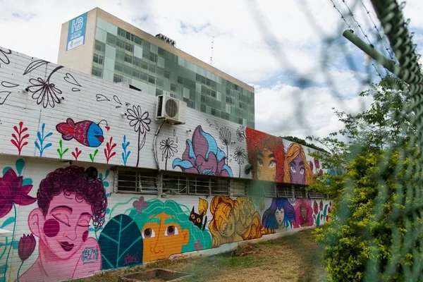 Outubro Rosa: fachada do Hospital de Base é colorida com grafites