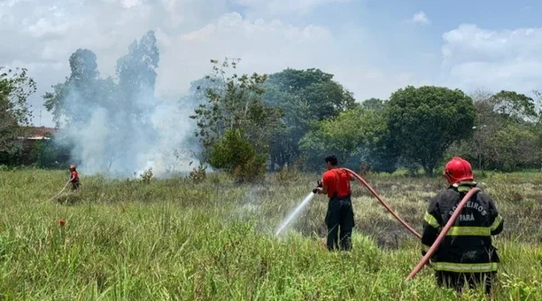 foto colorida de corpo de bombeiros em área verde