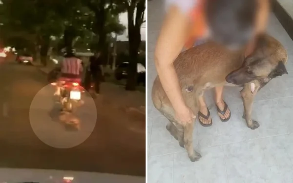 imagem colorida cachorro arrastado moto goias