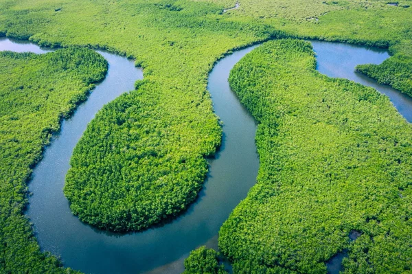 Empreender na Amazônia: o custo invisível da infraestrutura