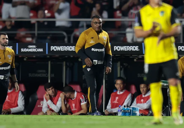 Roger Machado, treinador do São Paulo