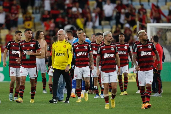 Imagem colorida time Flamengo