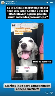 Letícia Sabatella desabafa após veterinária confessar crime: “Doeu” - imagem 6