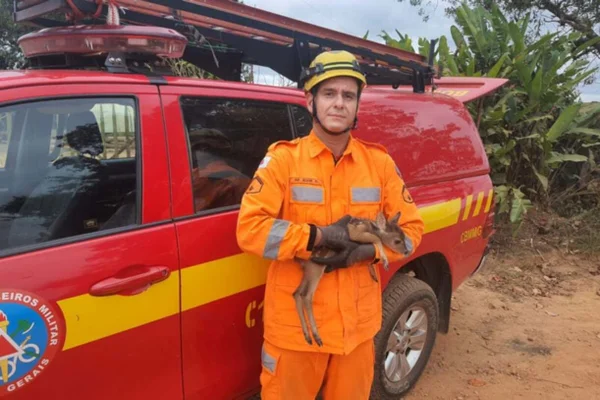 Foto colorida do bombeiro que realizou o resgate com o filhote de veado-campeiro no colo - Metrópoles