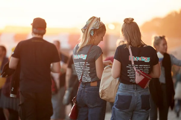 Lineup do Lollapalooza 2019 não encanta e vira meme no Twitter