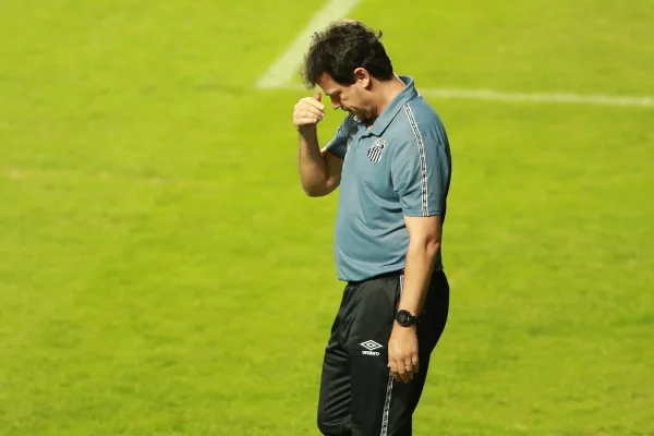 Fernando Diniz Santos