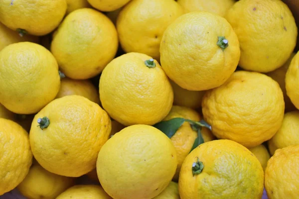 Conheça yuzu, a fruta mais pesquisada por brasileiros em 2019