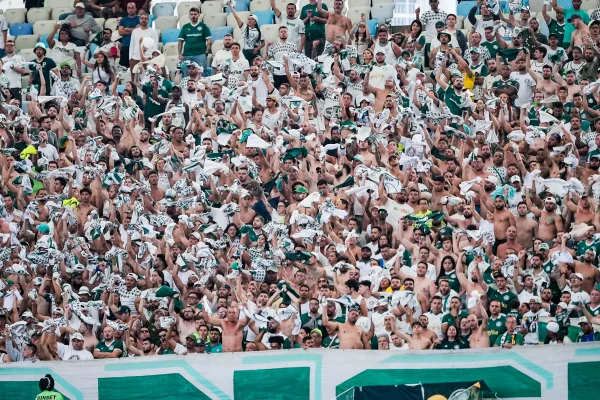 Torcida do Palmeiras