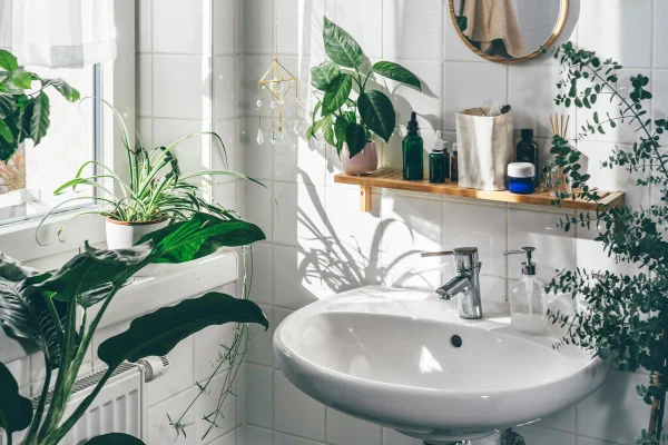 foto colorida de banheiro com várias plantas