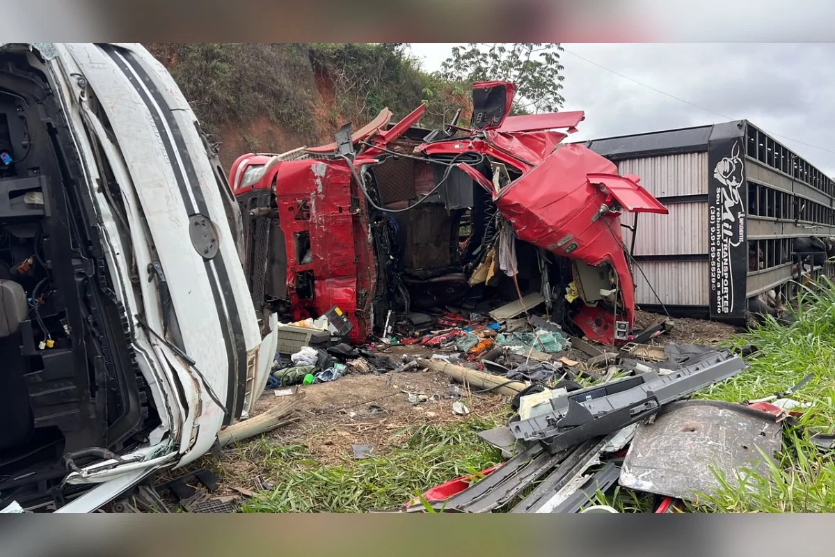 Acidente entre caminhões mata motorista e 5 bovinos na MG-285, em Piraúba
