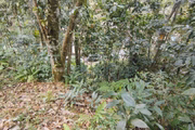O corpo de Sarah Picolotto dos Santos Grego foi encontrado pela Polícia Civil em uma área de mata