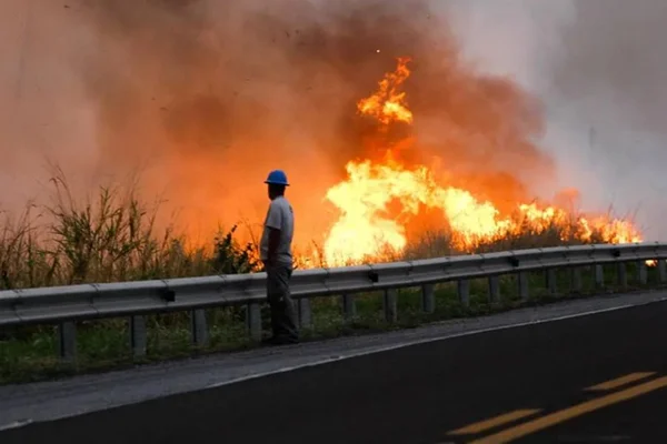 Em 4 dias, incêndios devastam 50 mil hectares do Pantanal em MS
