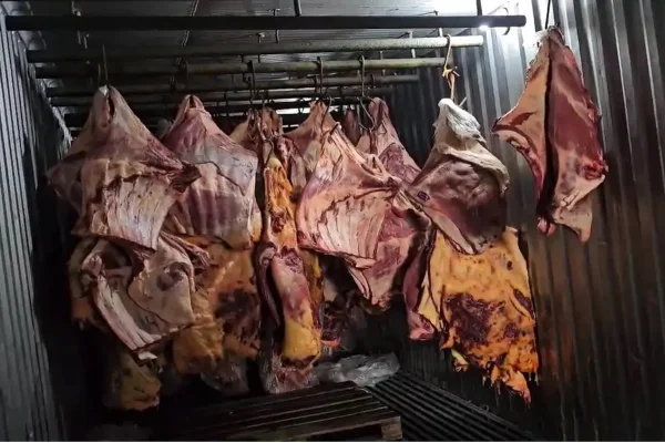 Imagem colorida de carne podre revendida no Rio de Janeiro - Metrópoles