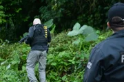 Operação policial no litoral norte contra o crime organizado prende 4, apreende drogas, armas e anabolizantes Operação policial no litoral norte contra o crime organizado prende 4, apreende drogas, armas e anabolizantes