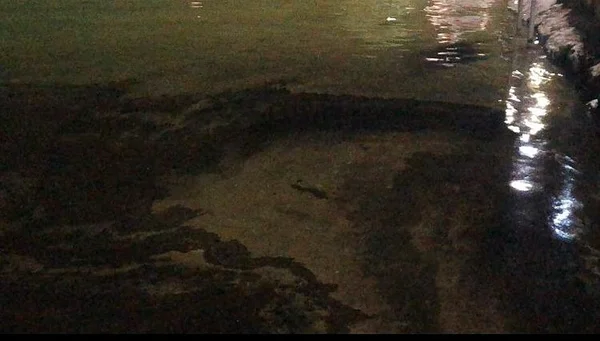 Derramamento de óleo no Rio São Francisco é investigado na Bahia
