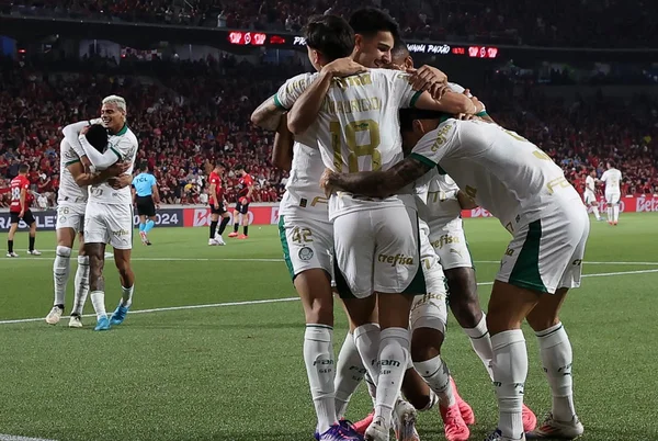 Mirando a liderança, Palmeiras encara o Criciúma antes de jogo no DF