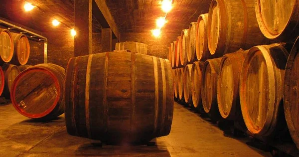 Madeira e cerveja: uma relação de amor