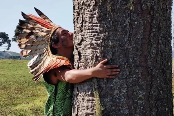 indigenas santa catarina araucaria