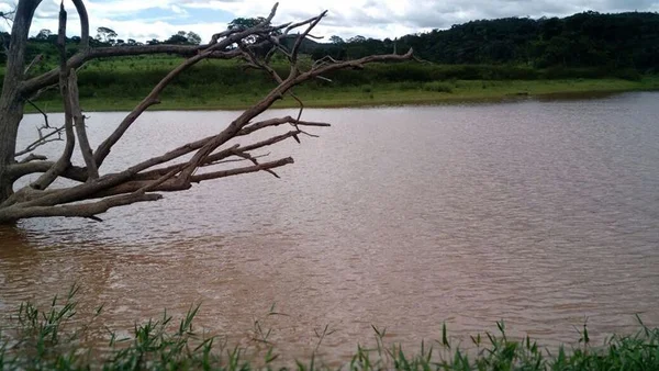 Criança de 9 anos morre ao entrar escondida em lago e se afogar