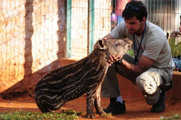 Zoológico de Brasília abriga novos filhotes de animais resgatados