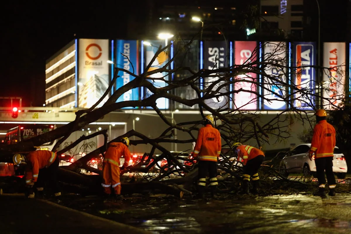 Árvore caída no Eixo Monumental Árvore caída no Eixo Monumental