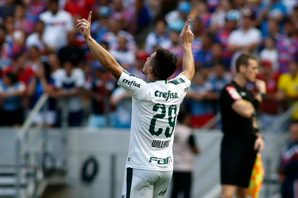 Palmeiras joga o suficiente para vencer o Fortaleza por 1 x 0