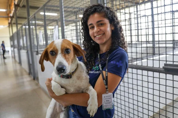 Resgatados há um ano, cães ainda esperam por adoção na Zoonoses do DF