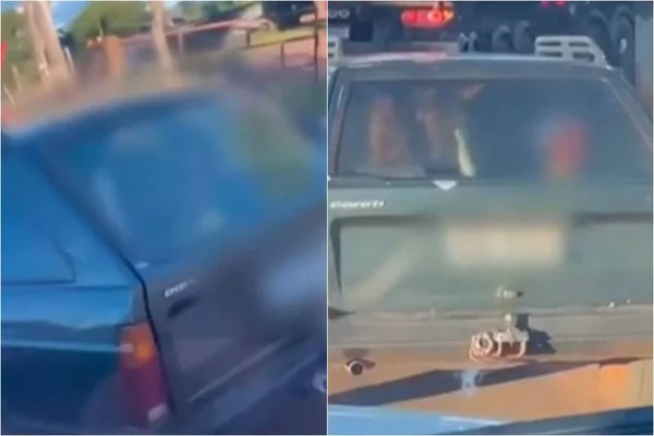 Foto colorida de cavalo e criança sendo carregados em porta-malas de carro em Goiás - Metrópoles