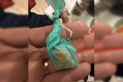 Porção de cocaína