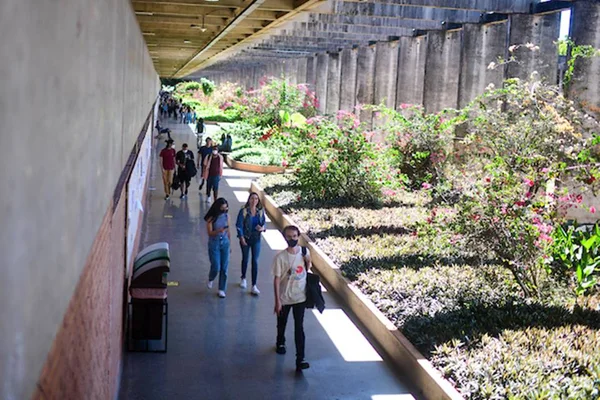 Estudantes caminhando pela UnB - Metrópoles