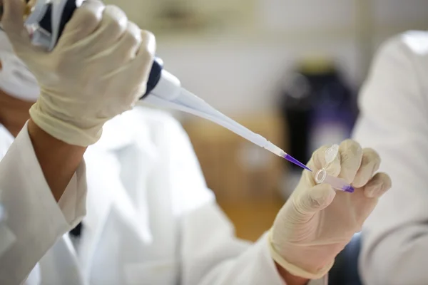 Técnica que altera DNA vira esperança no combate a doenças genéticas