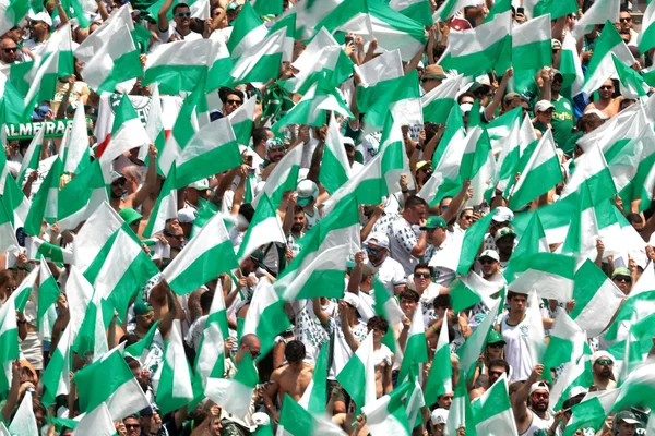 Foto colorida da torcida do Palmeiras durante jogo da Copa do Mundo de Clubes - Metrópoles