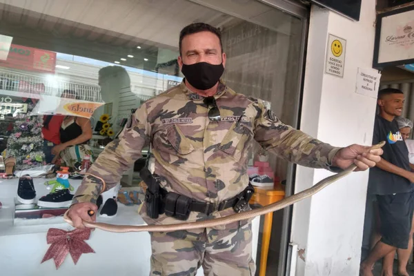soldado segura cobra