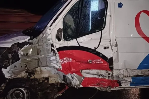 Imagem colorida de carro que bateu em ambulância após atropelar animal na BR-230 - Metrópoles
