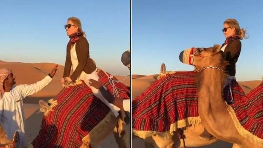 Angélica passeia em camelo Angélica passeia em camelo