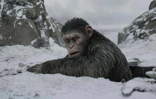 “Planeta dos Macacos”: “A Guerra” fecha ciclo da melhor franquia atual