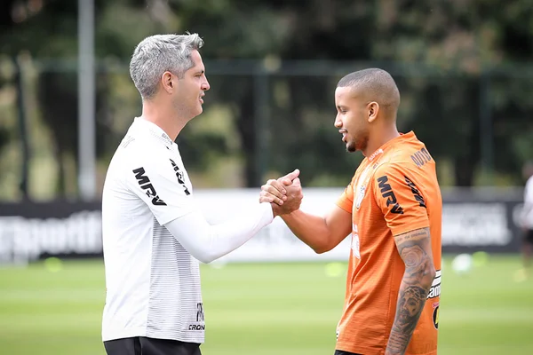 Brasileirão: Galo x Bahia e Grêmio x Athlético-PR duelam neste sábado