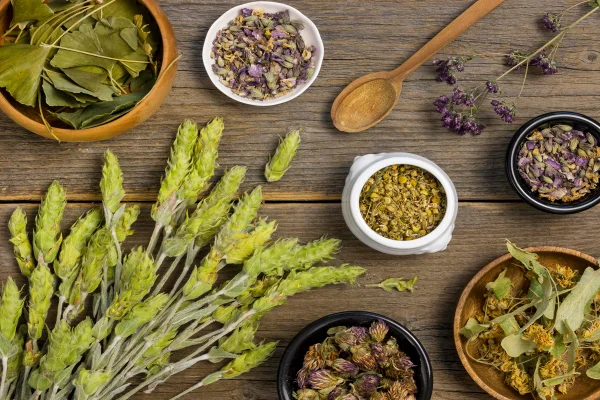 Plantas medicinais- Metrópoles